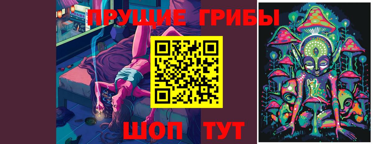 Клин  дарнет шоп  Вход с VPN  Галлюциногенные грибы Psilocybine cubensis  Псилоцибиновые грибы Psilocybine cubensis 